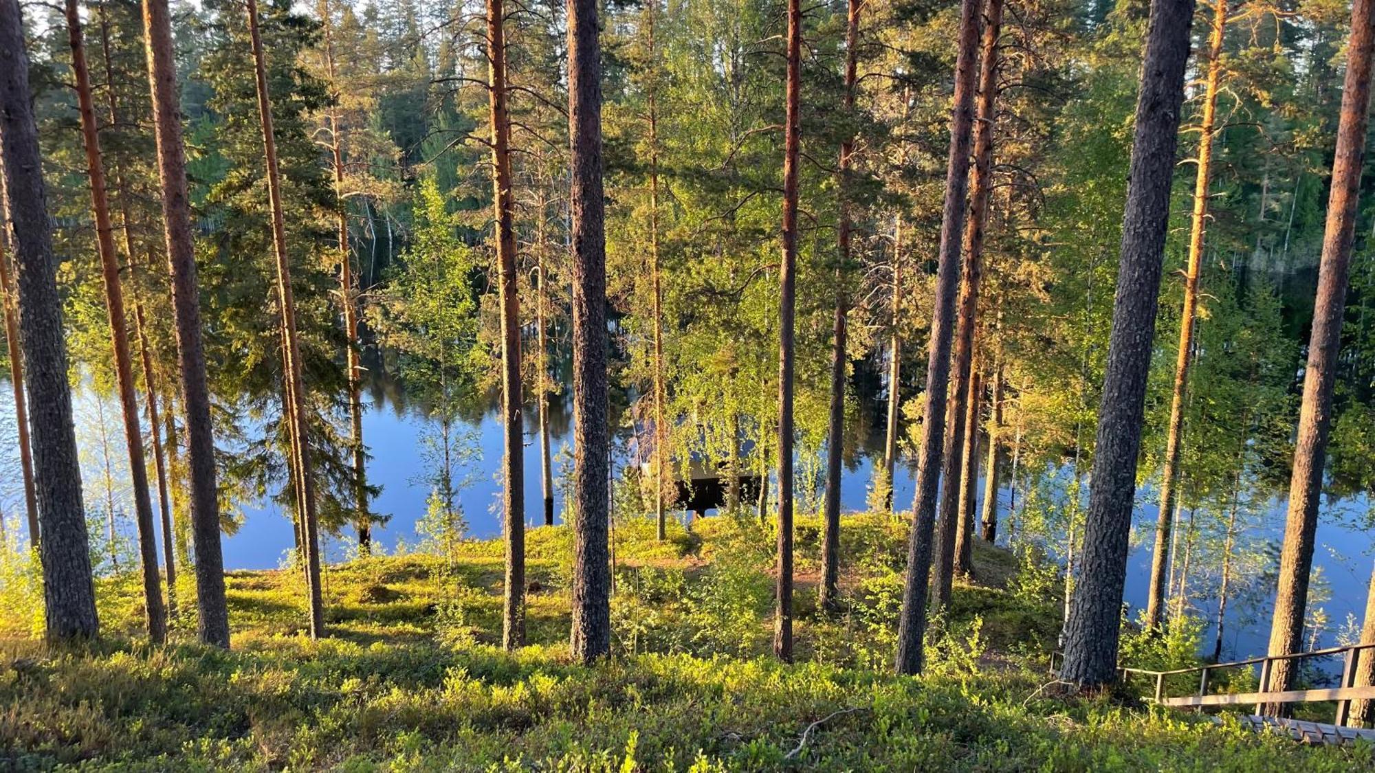 Leirintäalueet Ahvenlampi Saarijärvi