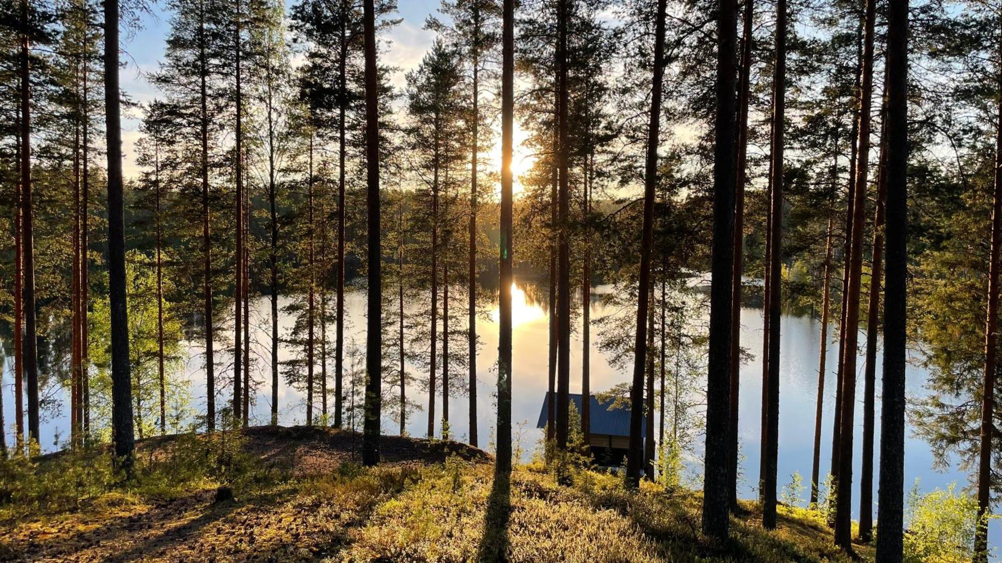 Leirintäalueet Ahvenlampi Saarijärvi