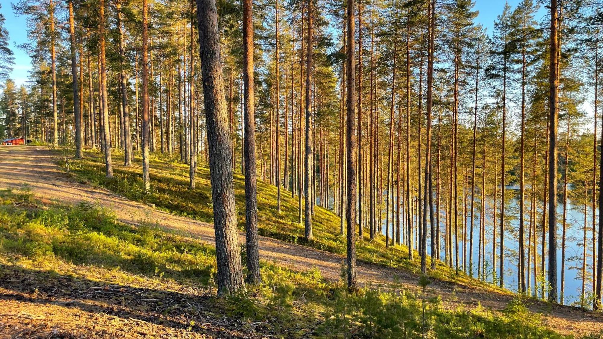 Camping Ahvenlampi Saarijärvi