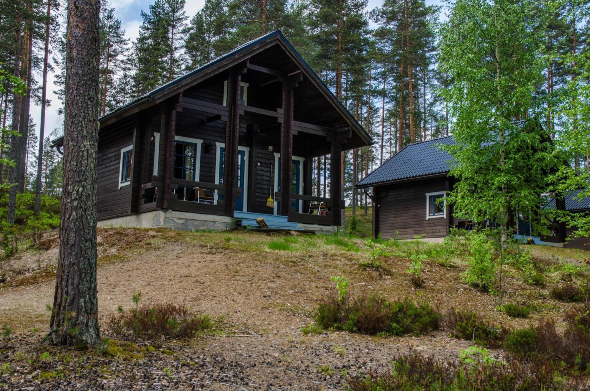 Ahvenlampi Saarijärvi