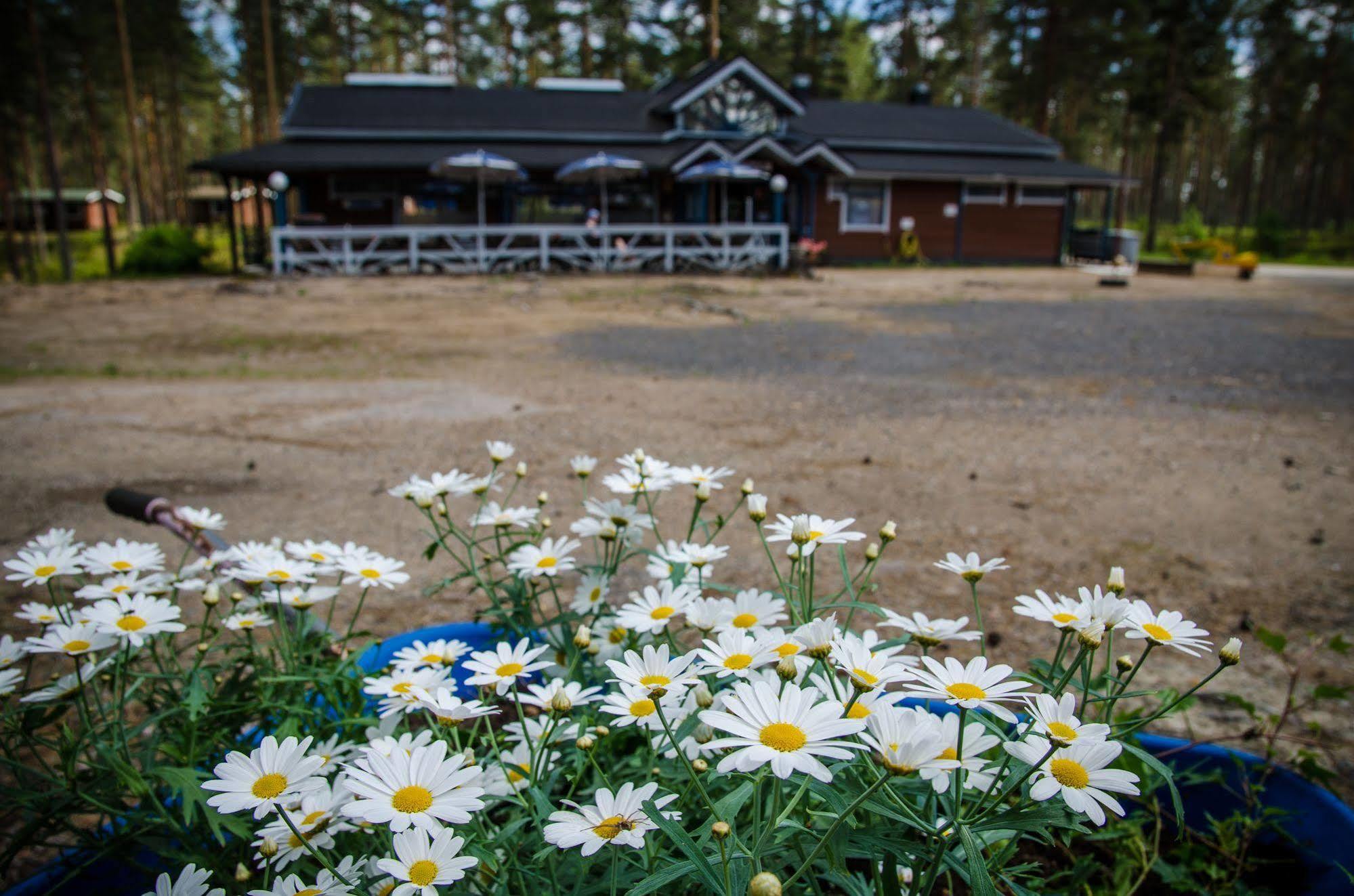 Ahvenlampi Saarijärvi