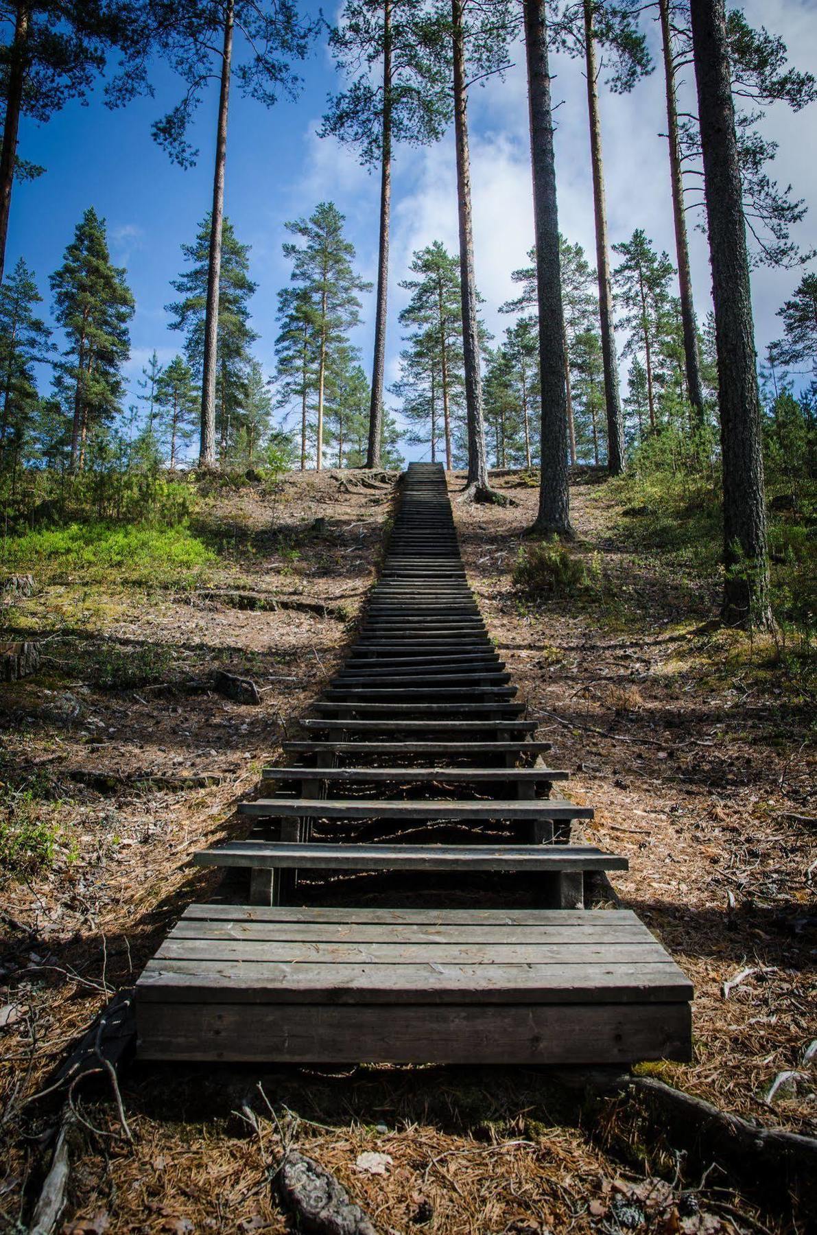 Ahvenlampi 4* Saarijärvi